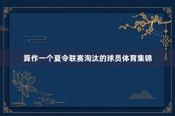 算作一个夏令联赛淘汰的球员体育集锦