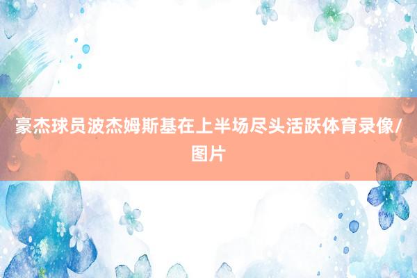 豪杰球员波杰姆斯基在上半场尽头活跃体育录像/图片
