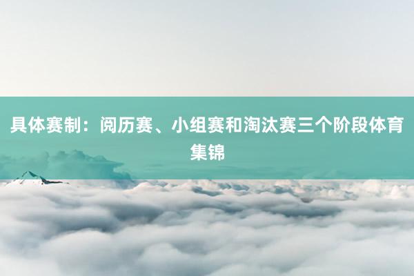 具体赛制：阅历赛、小组赛和淘汰赛三个阶段体育集锦